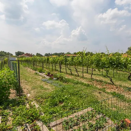 Kamp Romantik - Glamping Labin (Istria)