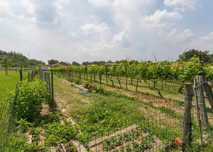 Kamp Romantik - Glamping Labin (Istria)